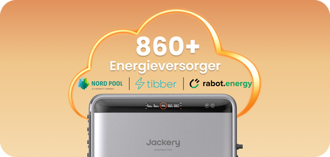 Dynamische Stromtarife von über 860 Energieversorgern